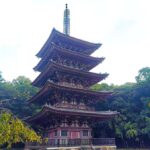 Kyoto: Daigo-ji Temple, Hidden Treasure of History & Beauty - An In-Depth Look at the Tour Experience