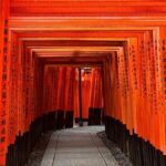 Kyoto Day Trip from Tokyo by Bullet Train Private Guided Tour - What Travelers Love About This Tour