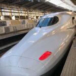 Kyoto Day Trip from Tokyo by Bullet Train Private Tour - Who Should Consider This Tour?
