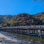 Kyoto Early Bird English Tour: Fushimi-Inari and Arashiyama - What’s in It for You?