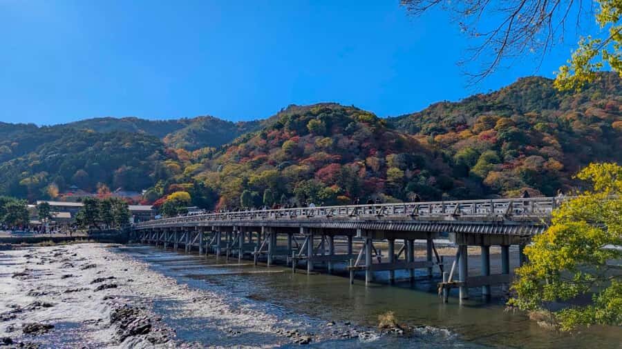 Kyoto Early Bird English Tour: Fushimi-Inari and Arashiyama - What’s in It for You?