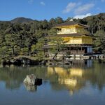 Kyoto Flexible 10-Hour Private Car Tour from Osaka - Additional Insights from Reviews