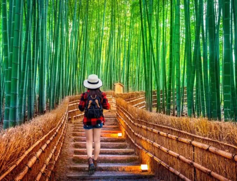 Kyoto Full Day Customizable Private Tour with English Guide - Logistics & Practicalities