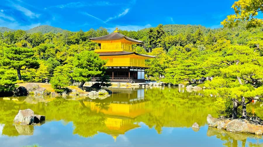 Kyoto Full-Day Customizable Private Tour with English Guide - Who Is This Tour Best For?