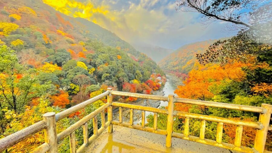 Kyoto: Full-Day Highlight Guided Tour with Expert Tour Guide - Authentic Experiences from Past Travelers