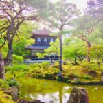 Kyoto: Full-Day Private Guided Tour of Temples and Shrines - Why This Tour Offers Great Value