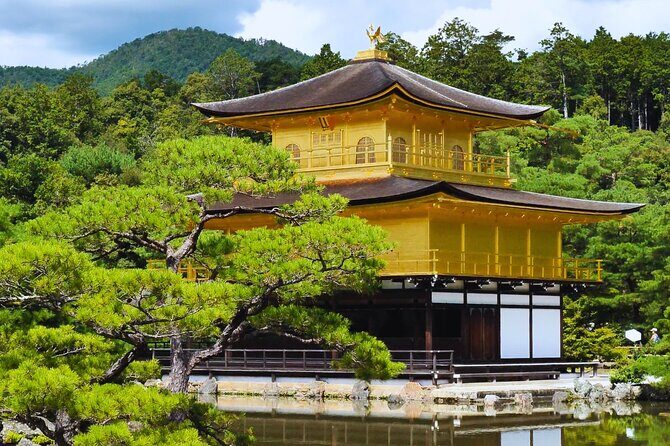 Kyoto Full-Day Tour Golden Pavilion Zen Garden and Bamboo Forest - What the Reviews Tell Us