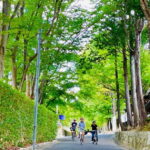 Kyoto: Fushimi Inari Shrine and Tofukuji Temple E-Bike Tour - Deep Dive into the Experience