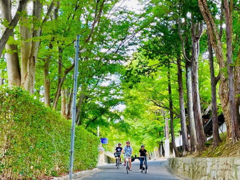 Kyoto: Fushimi Inari Shrine and Tofukuji Temple E-Bike Tour - Deep Dive into the Experience