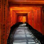 Kyoto: Fushimi Inari Shrine & Nijo Castle Highlights Tour - Who Should Book This Tour?