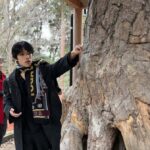 Kyoto: Fushimi Inari Shrine Walking Tour - An Authentic, Personal Experience