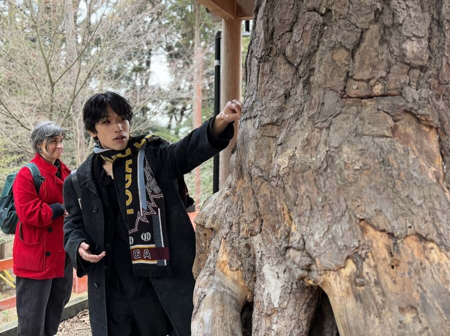 Kyoto: Fushimi Inari Shrine Walking Tour - An Authentic, Personal Experience