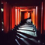 Kyoto: Fushimi Inari Taisha Night Tour with Guide - Why This Tour Offers Great Value
