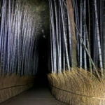 Kyoto: Ghost Tour - Legends, Dark Tales, Bamboo Forest Night - Good To Know