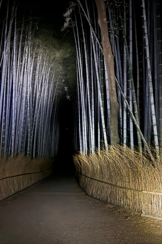 Kyoto: Ghost Tour - Legends, Dark Tales, Bamboo Forest Night - Good To Know  