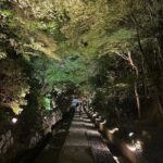 Kyoto Gion Calm Night Walking Tour with a Local Guide - FAQ