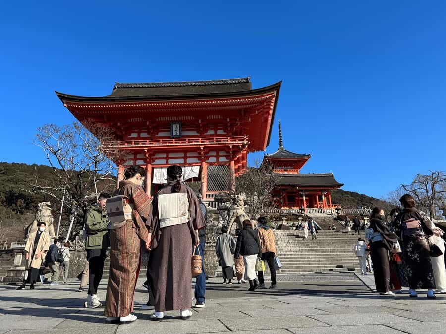 Kyoto: Gion, Ninenzaka & Kiyomizudera Walking Tour 4 Hrs - Who Will Love This Tour?