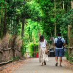 Kyoto: Guided Tour of Bamboo Forest, Temple and more - The Guided Tour: What’s Included and How It Works
