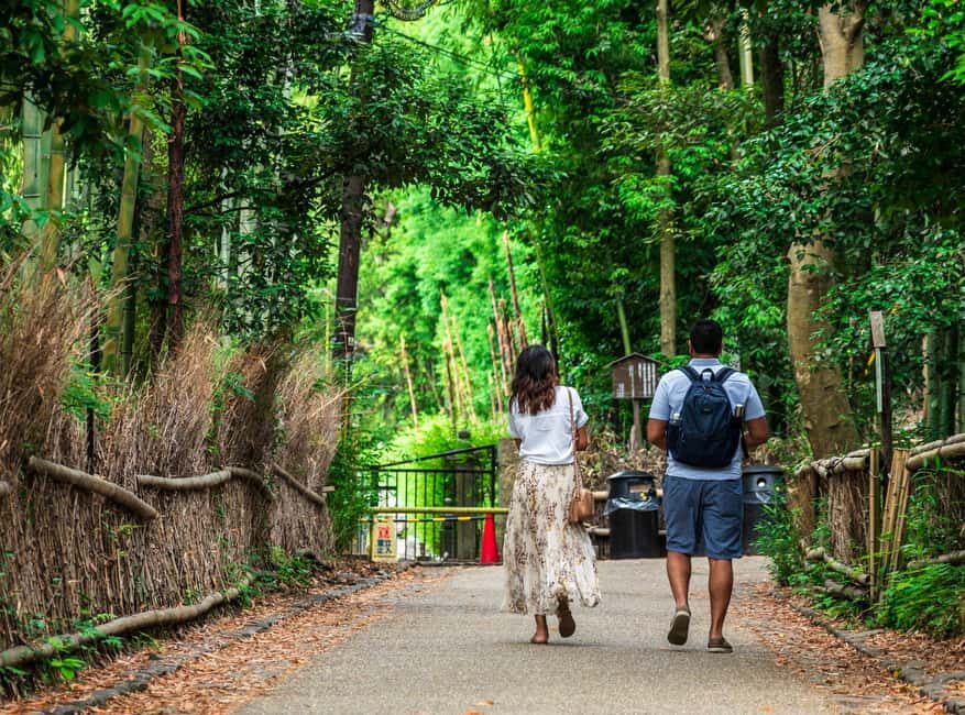 Kyoto: Guided Tour of Bamboo Forest, Temple and more - The Guided Tour: What’s Included and How It Works