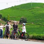 Kyoto: Half Day Countryside E-Bike Tour with Lunch - Why Choose This Tour?