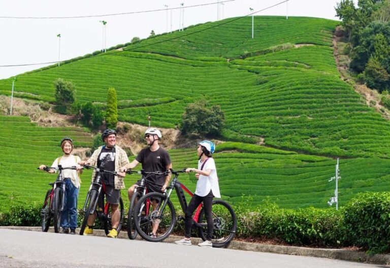 Kyoto: Half Day Countryside E-Bike Tour with Lunch - Why Choose This Tour?