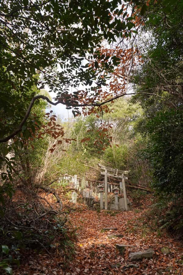 Kyoto: Hidden Spirit Realm Guided Tour - Who Should Consider This Tour?