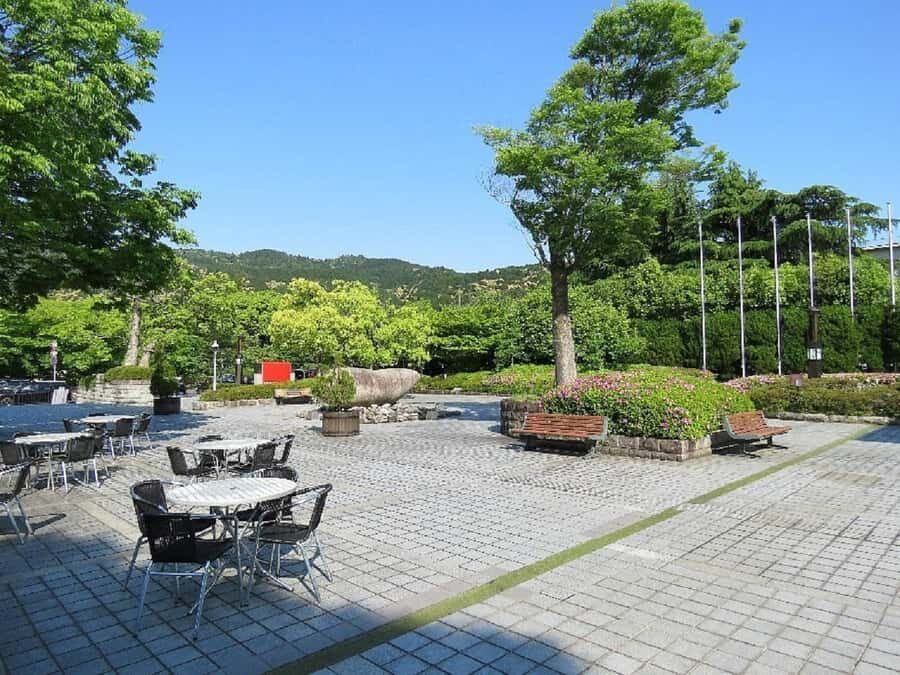 Kyoto: Hidden Spirits of Dawn Guided Tour with Tea Ceremony - Who Is This Tour Best For?