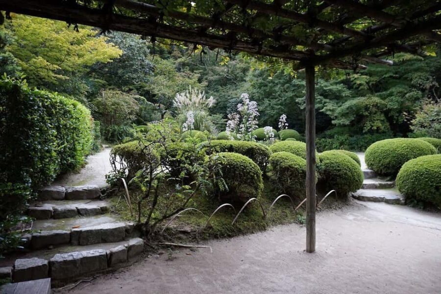 Kyoto: Hidden Temples and Tea Ceremony Tour - Who Should Take This Tour?