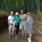 Kyoto Highlights Shore Excursion from Osaka Tempozan Cruise Port - Why this Tour Offers Value
