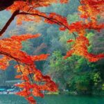 Kyoto Highlights Tour: Arashiyama, Nara Park and Fushimi Inari - Who Will Benefit Most?