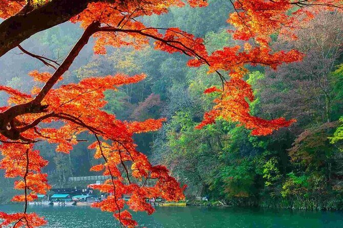 Kyoto Highlights Tour: Arashiyama, Nara Park and Fushimi Inari - Who Will Benefit Most?