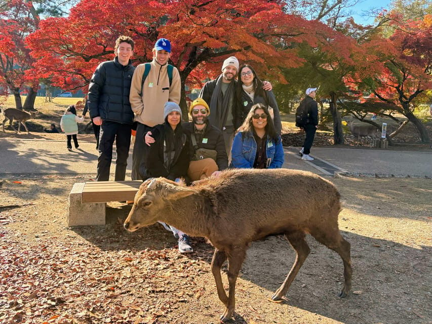 Kyoto: Historical Nara & Kyoto Bus Tour - What Makes This Tour Stand Out?