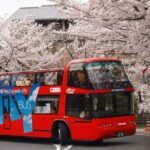 Kyoto Hop-On, Hop-Off Sightseeing Bus Tour - Final Thoughts: Who Should Consider This Tour?