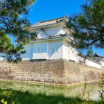 Kyoto: Imperial Palace & Nijo Castle Guided Walking Tour - Authentic Insights from Reviewers