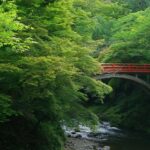 Kyoto: Jingoji and Kozanji Temple Private Day Trip - Transportation and Overall Value