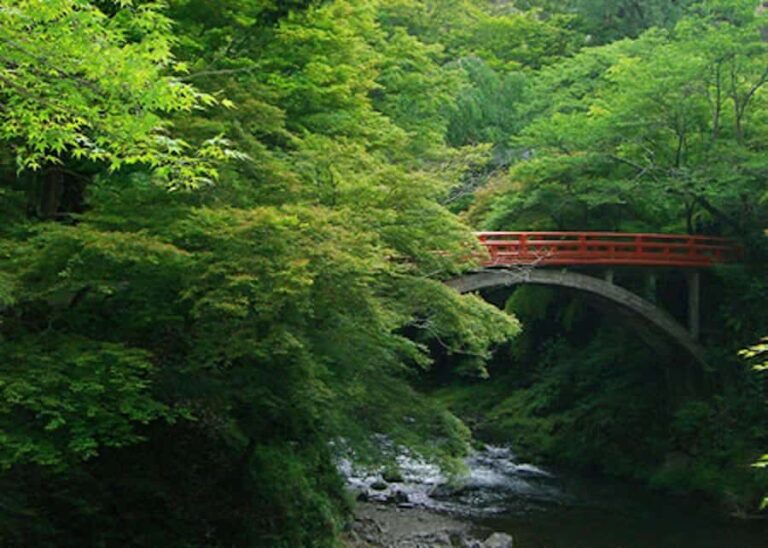 Kyoto: Jingoji and Kozanji Temple Private Day Trip - Transportation and Overall Value