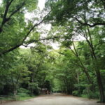 Kyoto: Kamigamo and Shimogamo Shrines Guided Tour 3h - The Practical Side: What to Expect