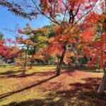 Kyoto: Kinkaku-ji Temple & Serene Garden Guided Tour with Tickets - Deep Dive into the Sites