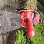 Kyoto: Kurama, Kibune, and Ohara Private Tour for Couples - The Magic of Kurama