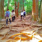 Kyoto: Kurama Temple and Mountain Legends Guided Hike - The Hidden Inner Sanctuary of the Demon King (Mao-den)
