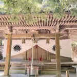 Kyoto: Kurama to Ohara Mountain Temples & Countryside Tour - Who Is This Tour Best For?