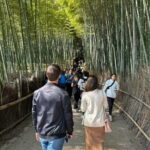 Kyoto: Kyoto Flexible Private Tour By Fluent English Driver - What’s Included and What to Keep in Mind