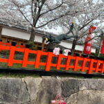 Kyoto: Kyoto Flexible Private Tour By Fluent English Driver - Practical Details and What You Should Know