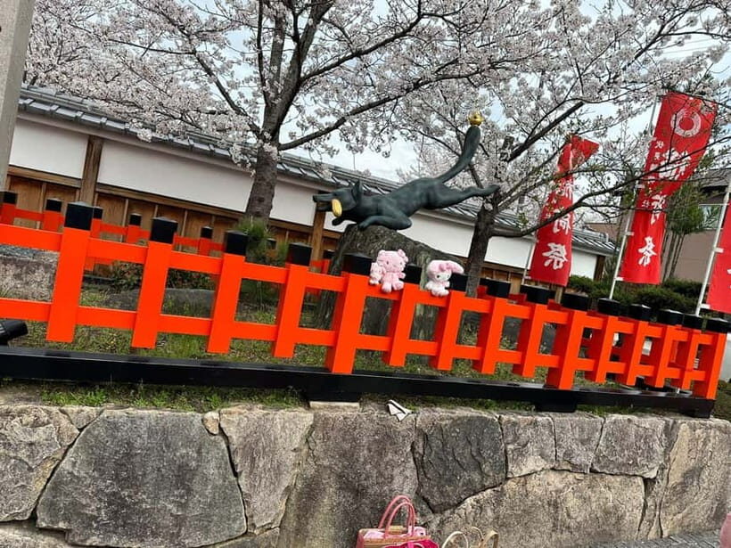 Kyoto: Kyoto Flexible Private Tour By Fluent English Driver - Practical Details and What You Should Know