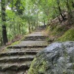 Kyoto Love :Romantic Tour of Arashiyama & Togetsukyo Bridge - Who Is This Tour Best For?