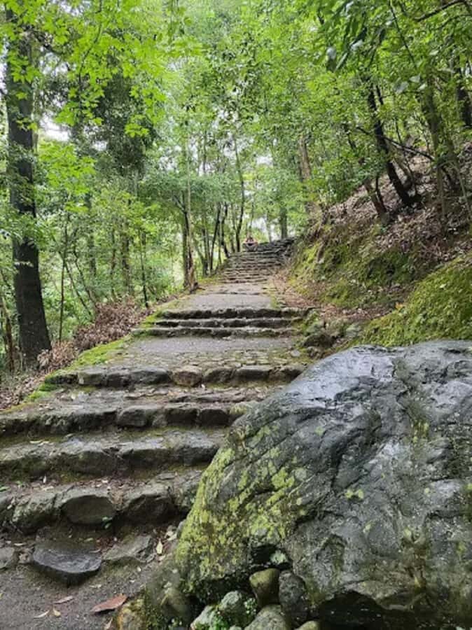 Kyoto Love :Romantic Tour of Arashiyama & Togetsukyo Bridge - Who Is This Tour Best For?