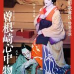 Kyoto Minamiza Theatre: Kabuki Show Ticket - The Sum Up: Who Should Book This Experience?