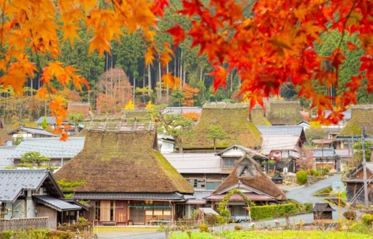 Kyoto: Miyama Village, Amanohashidate & Ine Bay Day Trip - Final Thoughts: Who Will Love This Tour?