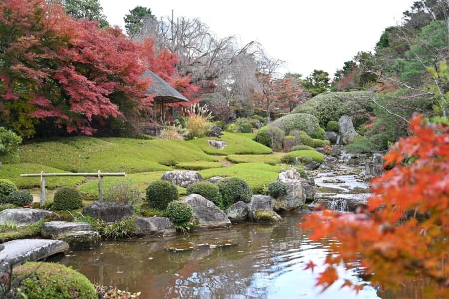 Kyoto: Myoshinji Temple Tour with Zen Cuisine & Matcha - What Sets This Tour Apart