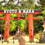 Kyoto & Nara: Full-Day Private Guided Tour with Hotel Pickup - What Makes This Tour Valuable?